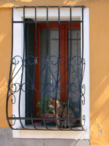 Click to return to the dynamic window display