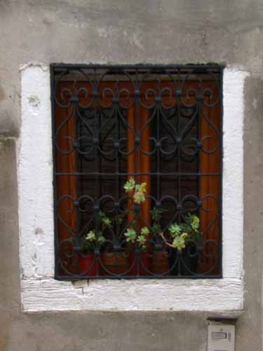 Click to return to the dynamic window display