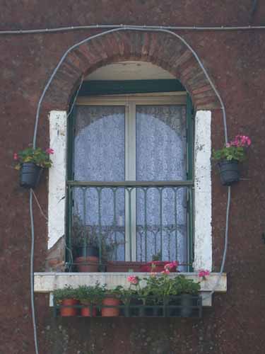 Click to return to the dynamic window display