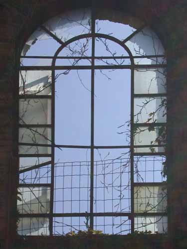 Click to return to the dynamic window display
