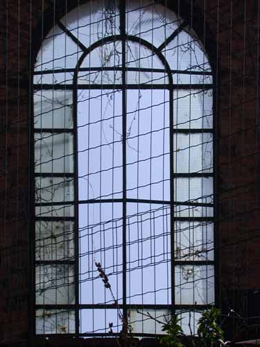 Click to return to the dynamic window display