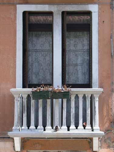 Click to return to the dynamic window display