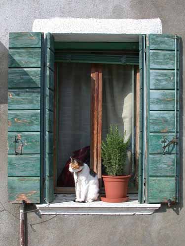 Click to return to the dynamic window display