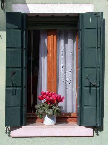 Click to return to the dynamic window display