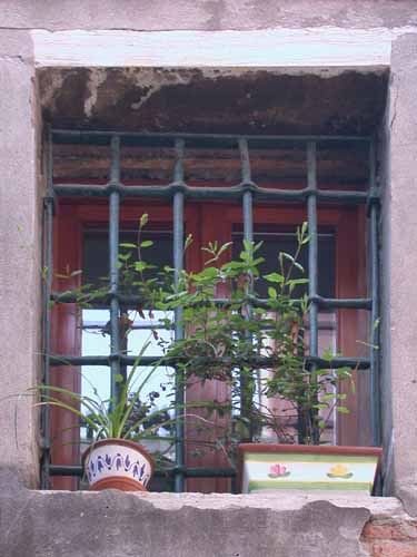 Click to return to the dynamic window display