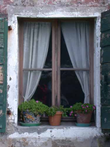 Click to return to the dynamic window display
