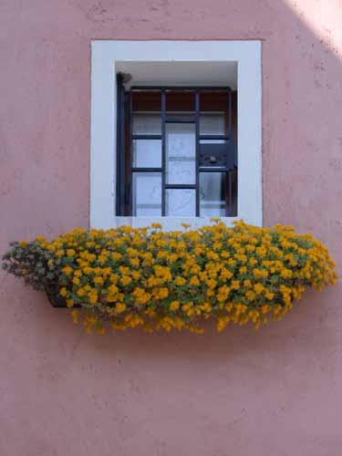 Click to return to the dynamic window display