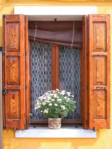 Click to return to the dynamic window display