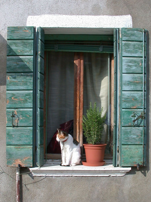 Click to return to the dynamic window display