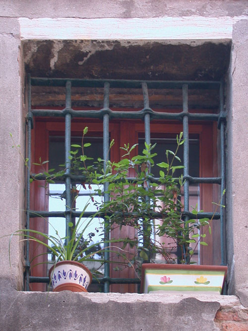 Click to return to the dynamic window display